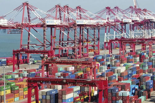 全球贸易壁垒下的中国应对 24国管制措施的现状与反思